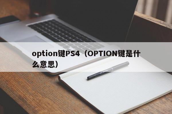 option键PS4（OPTION键是什么意思）