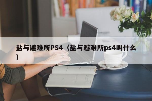 盐与避难所PS4（盐与避难所ps4叫什么）