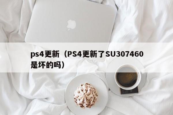 ps4更新（PS4更新了SU307460是坏的吗）