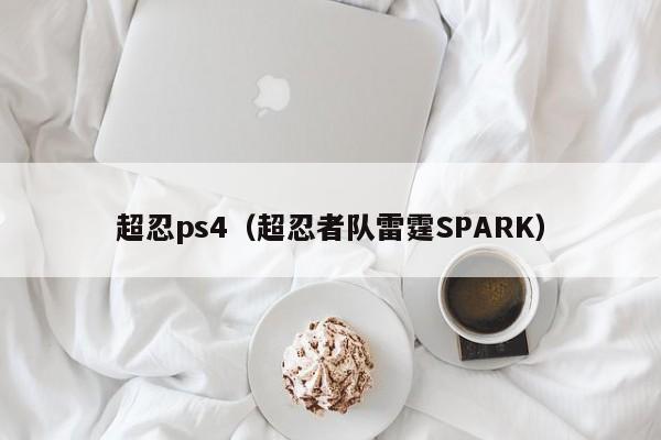 超忍ps4（超忍者队雷霆SPARK）