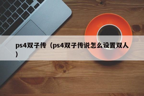 ps4双子传（ps4双子传说怎么设置双人）